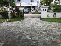 Gentle Villas (D11), Semi-Detached #201087732